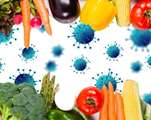 مدیریت تغذیه در کرونا ویروس