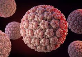 ویروس HPV